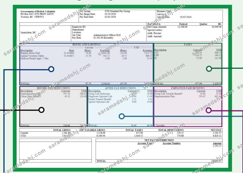 BARGAINING UNIT employee pay stub Word and PDF template